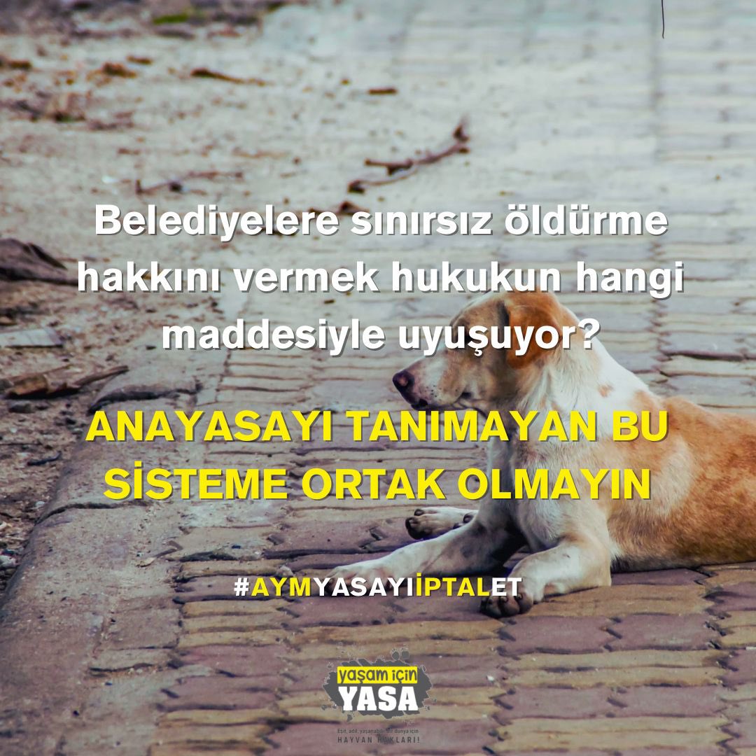 Hayvanlar konuşamaz, sen susma!

Hayvanların yaşam haklarını tehdit eden bu yasa derhal iptal edilmelidir.

 #AdaletÇağrısı
#AymYasayıİptalEt

<a href="/AYMBASKANLIGI/">Anayasa Mahkemesi</a>