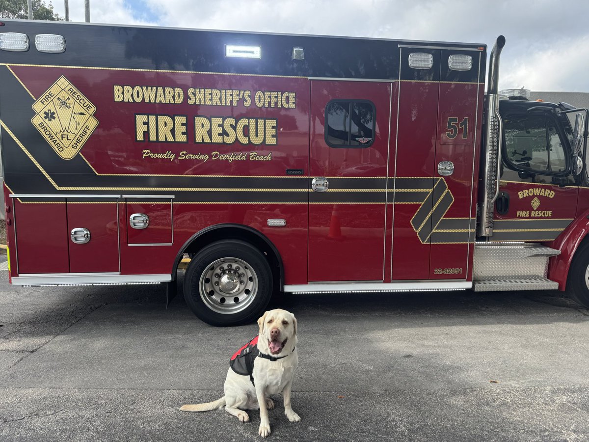 OscarTherapyDog's tweet photo. Grateful every day to be able to do what we do. Looking forward to 2025 and the difference he will make. #firstresponderspack #bsofr #newopportunities #2025 #giveback #makeadiffernce https://t.co/x8hwBdV9bx
