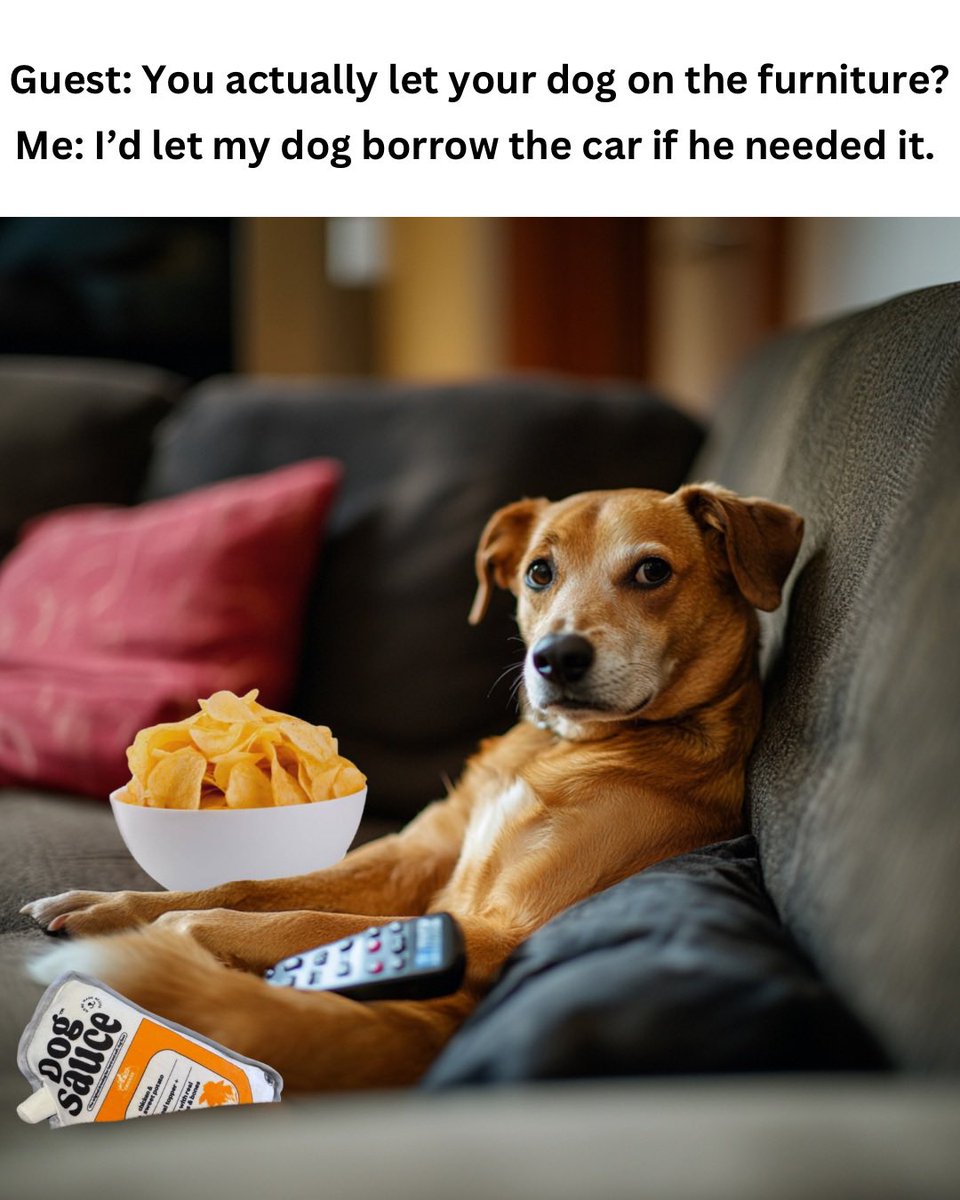 Dog Memes Funny Dog Videos March 2021 Funny Animal Memes 2024, image size:960x1200