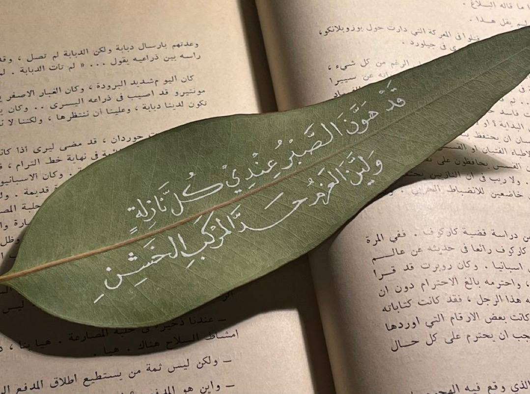 a3ya14's tweet photo. «إذا صبرت أُجِرت وأمر الله نافذ
 وإذا سخطت أَثِمت وأمر الله نافذ»

- الوتــر☁️🌱.
كثّفوا الدّعوات لغزة وجميع بلاد المُسلمين❤️‍🩹 https://t.co/znfgEUWnun