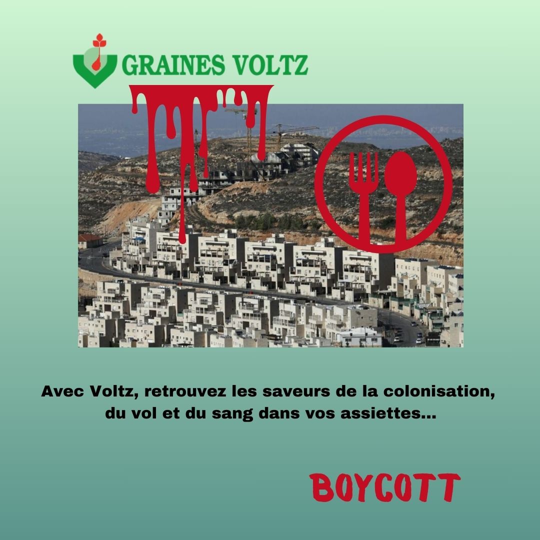 Solidaires 91 (@solidaires_91) on Twitter photo Saviez-vous que nos assiettes et nos jardins peuvent être liés à des actes de colonisation de la Palestine ? On vous en dit plus dans ce fil sur <a href="/GrainesVoltzFr/">Graines Voltz - France</a> une entreprise française fière de collaborer en plein génocide avec le groupe israélien #Hishtil
#bds Saviez-vous que nos assiettes et nos jardins peuvent être liés à des actes de colonisation de la Palestine ? On vous en dit plus dans ce fil sur <a href="/GrainesVoltzFr/">Graines Voltz - France</a> une entreprise française fière de collaborer en plein génocide avec le groupe israélien #Hishtil
#bds