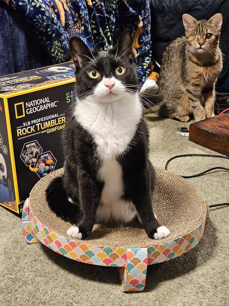 Holly Brockwell tweet media