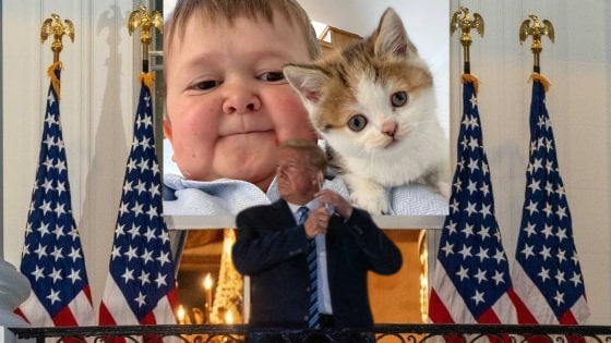 Dear President <a href="/realDonaldTrump/">Donald J. Trump</a> ,

On behalf of the $BARSIK community and our friend Hasbulla, we would like to extend our heartfelt congratulations on your return to Washington on January 20th. This is a significant moment, and we are excited to see what the future holds under