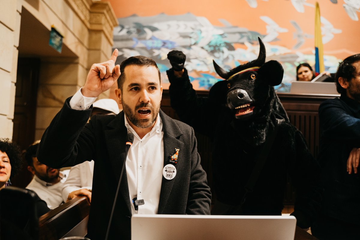 AlejoGarciaRios's tweet photo. Las recientes declaraciones del alcalde de Manizales en defensa de las corridas de toros son preocupantes. Afirmar que hará “lo que sea” para tumbar la Ley #NoMásOlé es un claro retroceso en la lucha por los derechos de los animales. Alcalde, @JorgeERojasG recuerde que gobernar implica liderar con empatía y visión de futuro, por lo que  defender prácticas que implican violencia y sufrimiento no solo contradice los valores de una sociedad más justa, sino que desconoce la voluntad del Congreso y del país, que ya dijo no más corridas de toros.

La Ley 2385 de 2024, #NoMásOlé, no es un ataque a la cultura, sino una transformación hacia el respeto por la vida animal. Prohibe las corridas de toros, rejoneo, novilladas, becerradas y tientas, así como de los procedimientos utilizados en estos espectáculos, que socavan la integridad de formas de vida no humana. Además, esta ley fue pensada con responsabilidad. Se estableció un periodo de tres años (hasta 2027) para garantizar la reconversión económica y laboral de quienes dependen de la tauromaquia. Este es un cambio con justicia social.

En lugar de insistir en perpetuar las corridas de toros, es fundamental aprovechar los tres años de transición establecidos por la Ley #NoMásOlé para impulsar una reconversión económica que beneficie a quienes trabajan en torno a la tauromaquia. También es clave transformar los escenarios para que sigan siendo fuentes de empleo. Un gran ejemplo de esto es el Centro Comercial Serrezuela en Cartagena, que pasó de ser una plaza de toros a un espacio moderno, productivo en materia de comercio y turismo.

Y esta ley no es sacada de la manga, desde 2010, la Corte Constitucional señaló que la cultura no es un derecho absoluto. Y que las corridas de toros, al implicar crueldad sistemática contra los animales, son incompatibles con el respeto a la vida y los derechos fundamentales. Así que defender la tauromaquia como “tradición” no puede estar por encima del deber de proteger la vida y avanzar hacia una Colombia más compasiva. El respeto por los animales no es negociable.

A quienes buscan tumbar esta ley, los invito a reflexionar: si realmente desean una Colombia libre de violencia, esta debe ser completa, rechazando toda forma de maltrato, tanto hacia las personas como hacia los animales. La coherencia es fundamental.