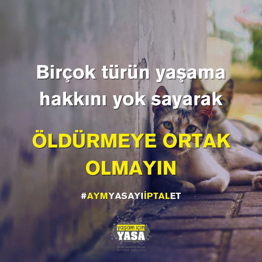 Bu yasa hayvanların yaşam hakkını ellerinden alıyor. Yasa derhal iptal edilsin.  Anayasa Mahkemesi sesimizi duy.
<a href="/AYMBASKANLIGI/">Anayasa Mahkemesi</a> #aymyasayıiptalet
#adaletcagrisi