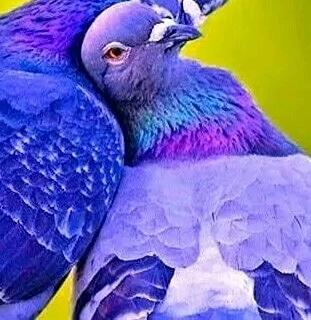 💙