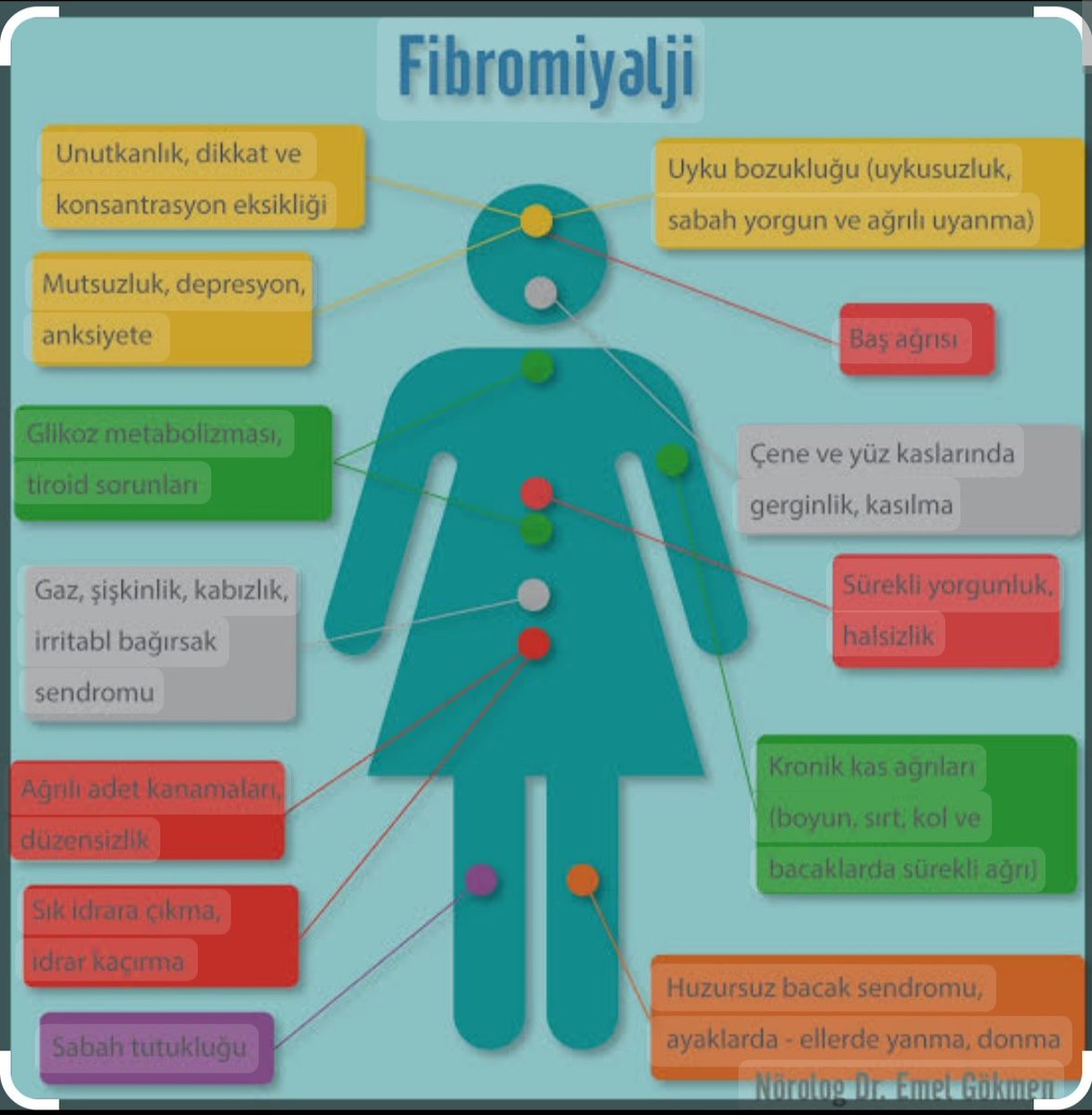 Fzt_FrtYasavul's tweet image. #manuelterapi #Fibromyalgia da etkin bir tedavi yöntemidir detayli bilgi için iletişime geçebilirsiniz..! #fiziktedavi #omurgasagligi