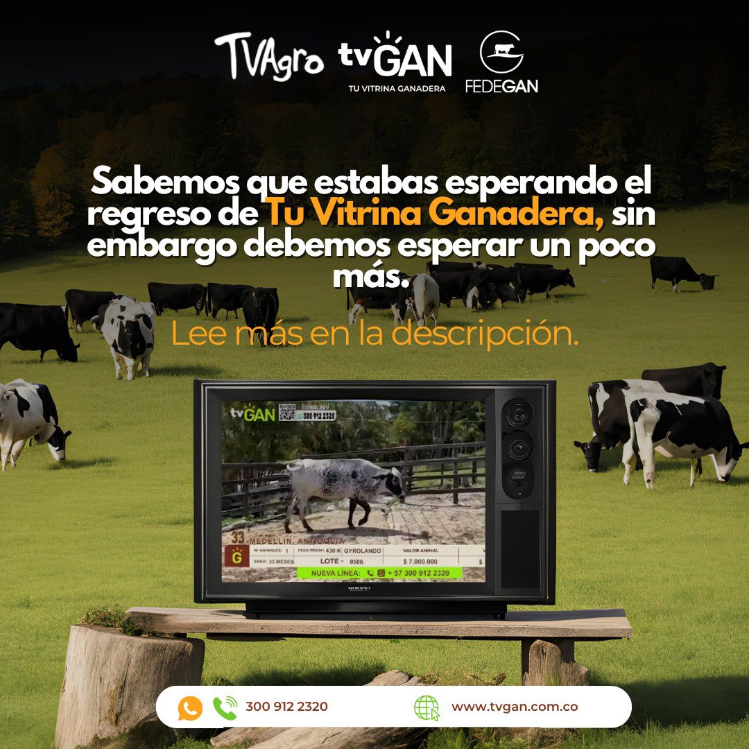 📺 Sabemos que esperabas el regreso de Tu Vitrina Ganadera, y lamentamos no poder estar al aire como lo habíamos planeado. Debido a inconvenientes técnicos hemos tenido que retrasar un poco nuestro regreso, pero estamos trabajando intensamente para solucionarlo y volver. <a href="/TvAgro/">Canal Tv Agro</a>