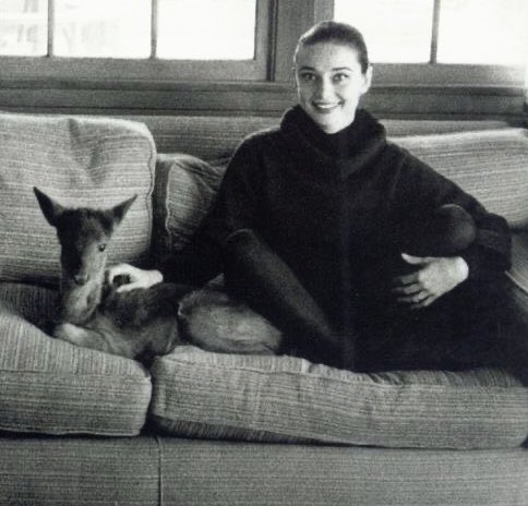 hepburn archive ౨ৎ tweet media