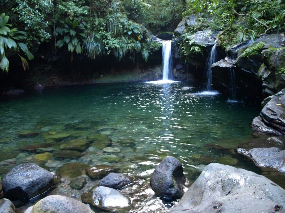 @lacrymarias tweet media