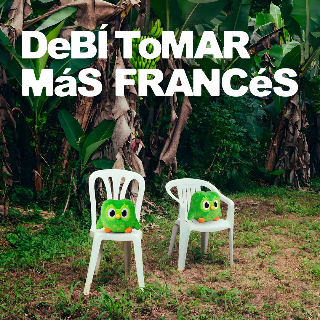 duolingoespanol's tweet photo. DtMF (debí tomar más francés)

Desde mi app, obviamente, recuerden que este y otros 7 cursos están disponibles desde el español 🤓☝️ https://t.co/WKKDMTNs8z