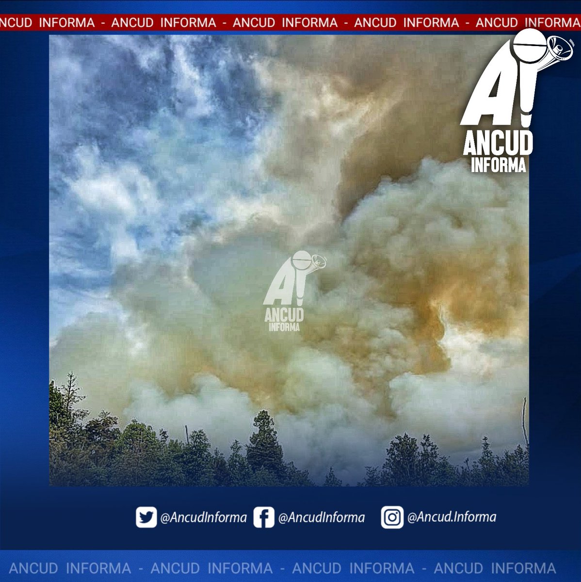 AncudInforma's tweet photo. 🔴🚨#Ancud: Se declara Alerta Roja para la comuna de Ancud, por incendio forestal en sector Taiquemó, que estaría afectando una superficie preliminar de 0,5 hectáreas. Rescursos asignados de Conaf, 2 técnicos, 2 brigadas y 1 helicóptero. #AncudInforma #Chiloé https://t.co/QIRSrU7o1P