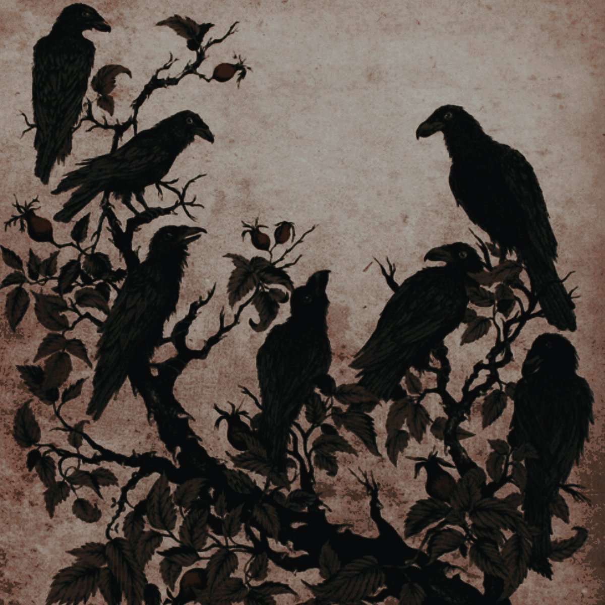 𝐑oland. tweet media