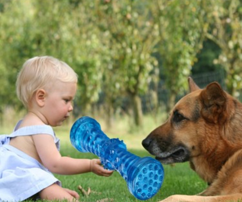 Doğayı ve her parçasını anlayan, bilinçli kuşaklar için…
<a href="/AYMBASKANLIGI/">Anayasa Mahkemesi</a> 
#AymYasayıİptalEt 
#AdaletÇağrısı
<a href="/TCTarim/">T.C. Tarım ve Orman Bakanlığı</a> <a href="/TBMMresmi/">TBMM</a>