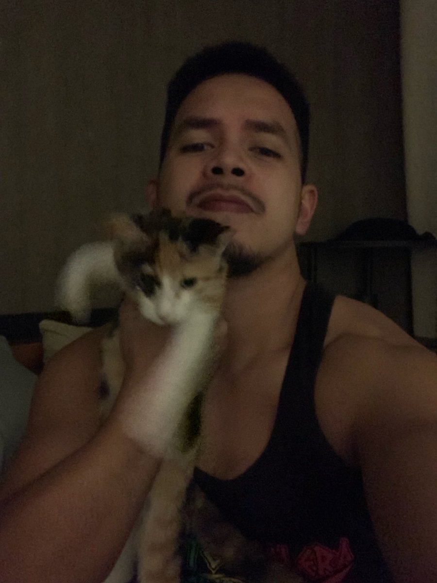 fons_II's tweet photo. Zoomies! 🙀🙀🙀 https://t.co/x0wZAzqG6z