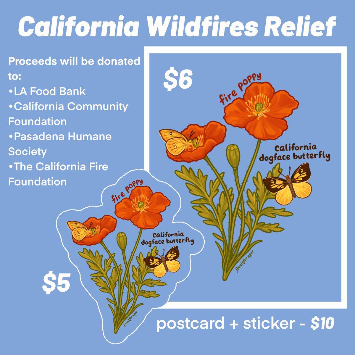 Nicole 🪲 tweet media