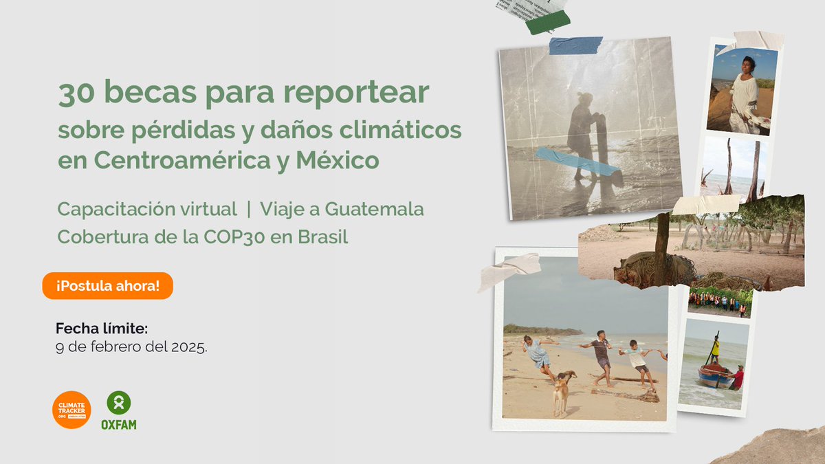 Climate Tracker tweet media