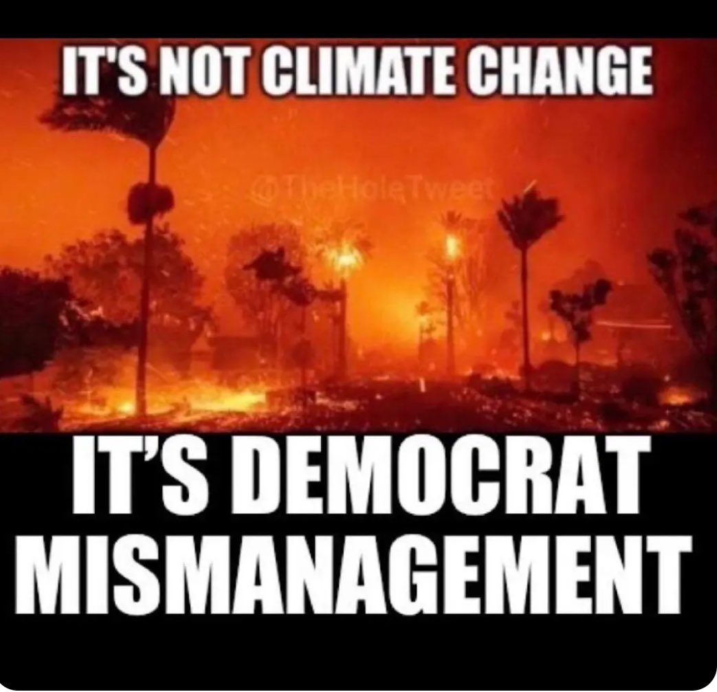 Deb Loves Deplorable’s AKA “THICK” (@deb_waffles2020) on Twitter photo 