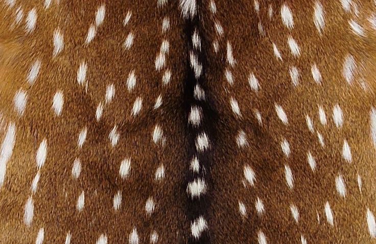 for #전정국 - JK ★