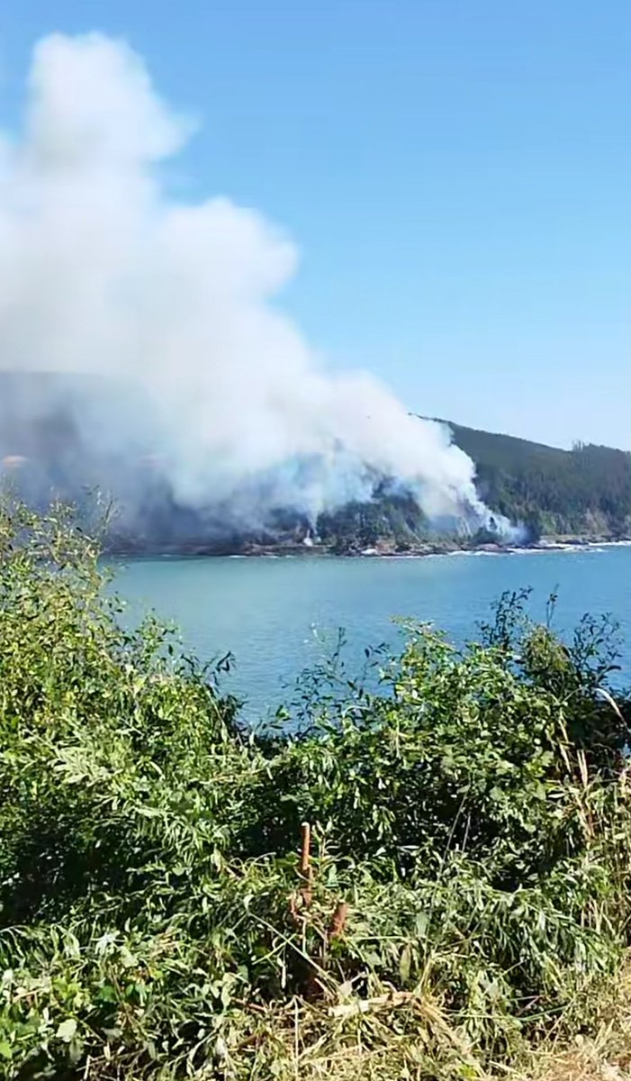 🔴AHORA | Lota
En estos momentos se registra #IncendioForestal en la playa de #Colcura región del Bio Bio.
Se encuentran trabajando bomberos, brigadas y apoyo aéreo de <a href="/conaf_minagri/">CONAF - Corporación Nacional Forestal</a>.
EN DESARROLLO
