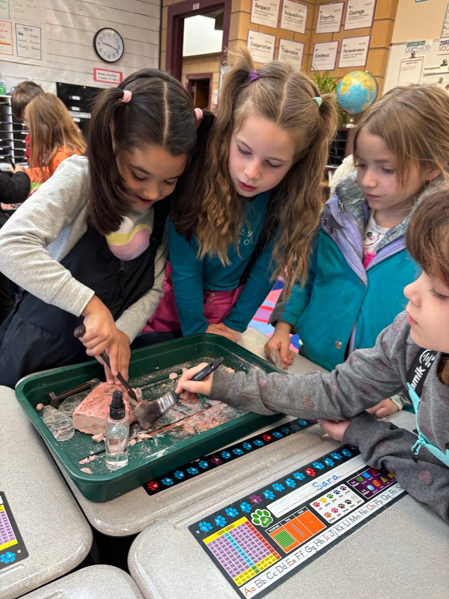 KruseES's tweet photo. Can you dig it? 2nd grade paleontologists getting their hands dirty with fossils unit in EL Education. https://t.co/Ko6IPZwxWS