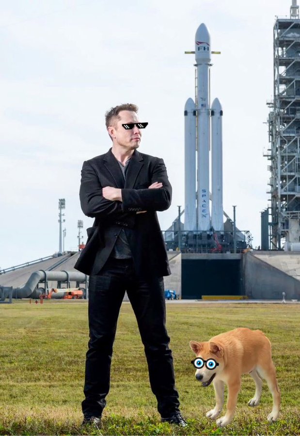 @bigdayforyou <a href="/ElonMuskAOC/">Not Elon Musk</a> <a href="/doggo_cn/">Doggo中文社区</a> <a href="/doggoctoeth/">DOGGO</a> In general, #Doggo has a great host, an irreplaceable host