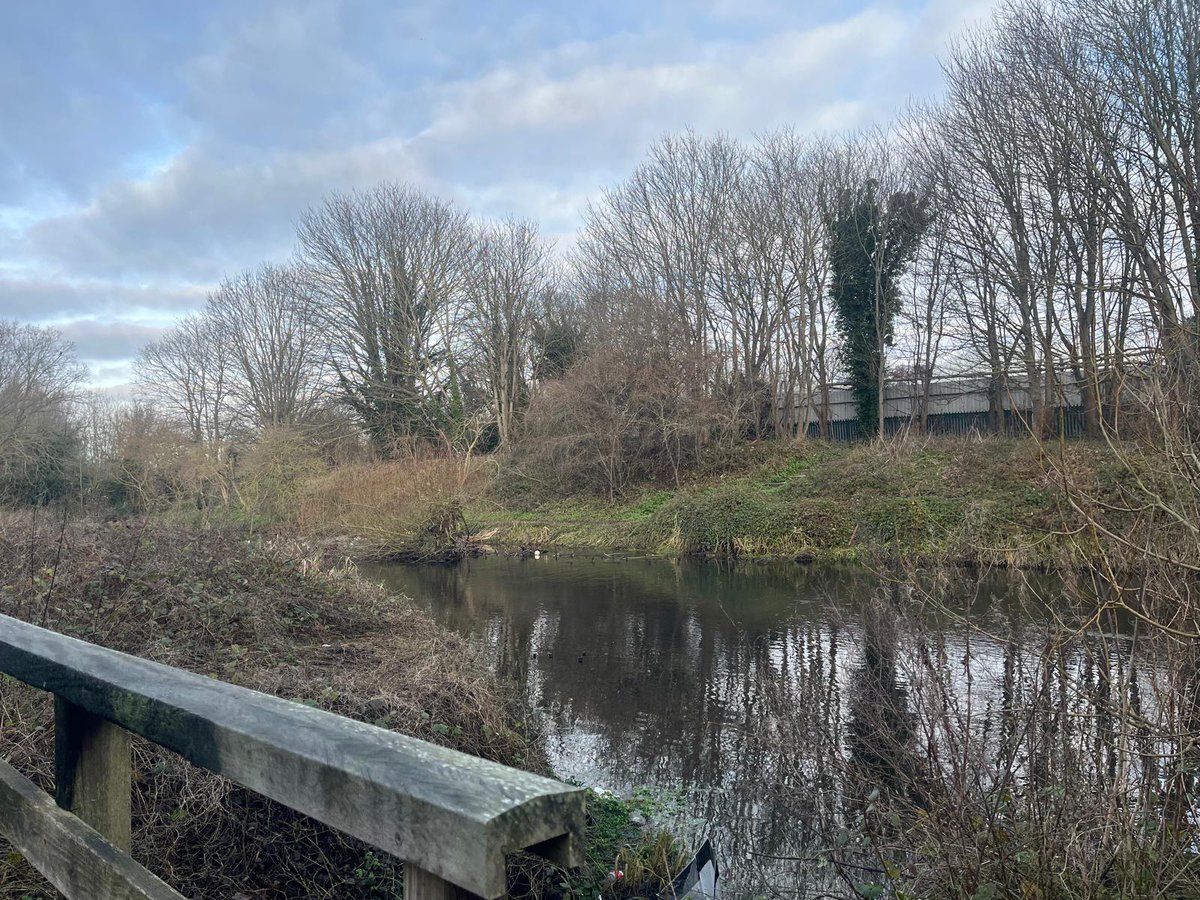 This morning, Year 4 went on a walk down the river Wandle to see river features and local wildlife. We saw a large, black cormorant in the sky and a pair of Egyptian geese as well as robins, parakeets, mallards and moorhens.