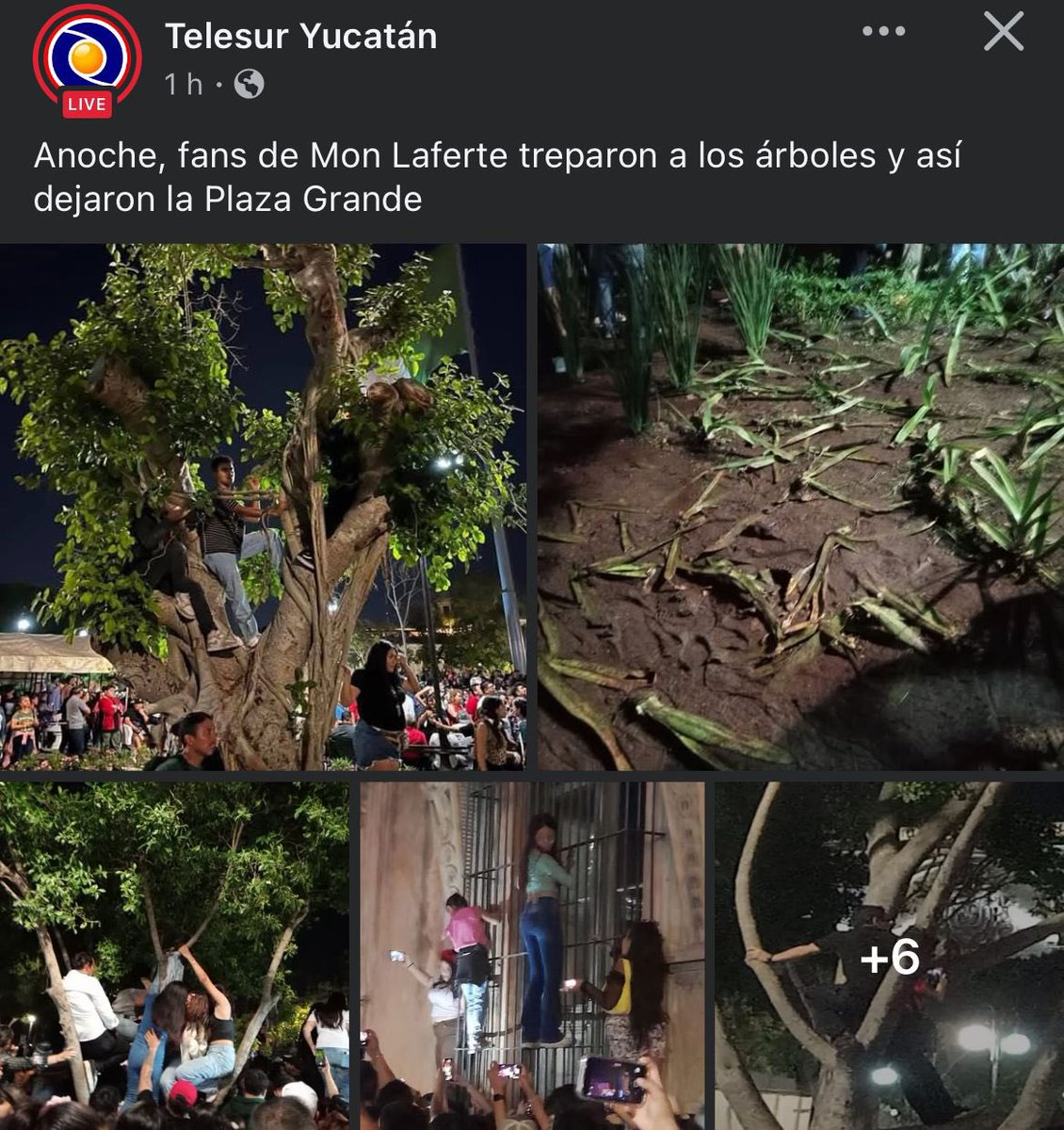 Out Of Context Mérida (@outofcontextmid) on Twitter photo 