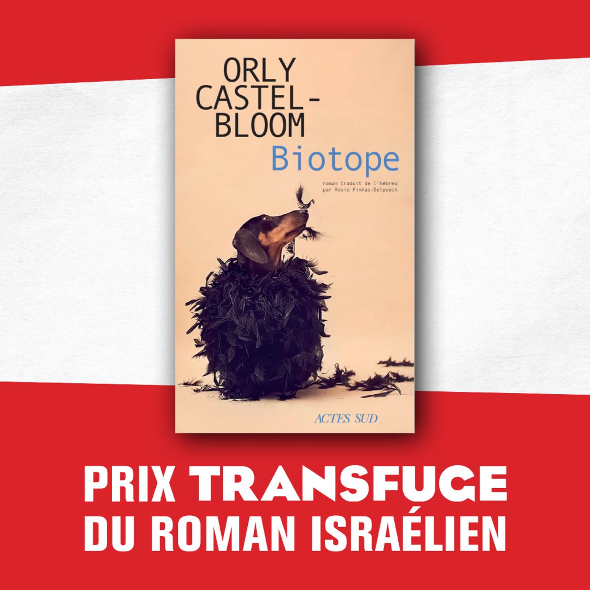 Félicitations à Orly Castel-Bloom !

Son roman « Biotope » remporte le Prix Transfuge du roman israélien ! <a href="/ActesSud/">Actes Sud</a>

Traduit par Rosie Pinhas-Delpuech 

#prixtransfuge