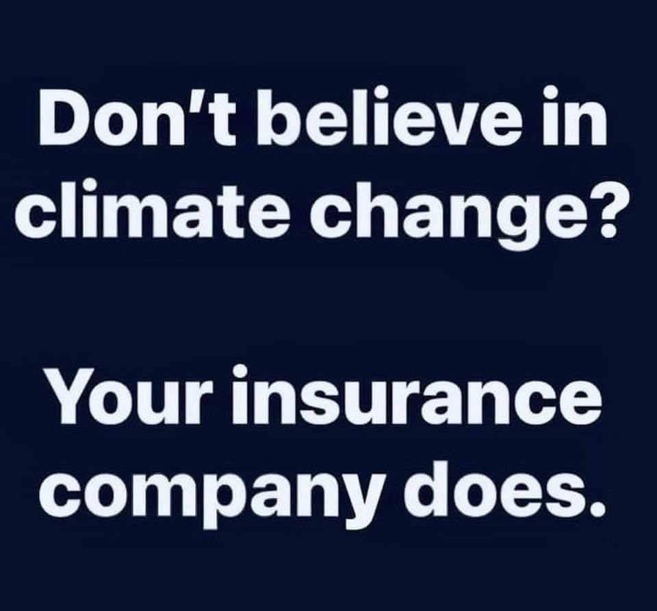 Stephen McDonald (@mcdonald.link on bsky) tweet media