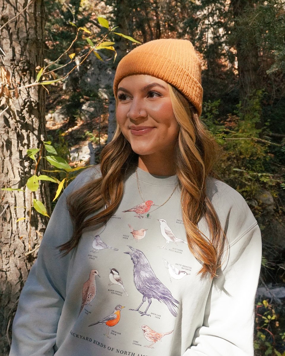 because_tees's tweet photo. What is your favorite bird? 🐦️⁠
⁠
📷️: @sweetadventuring https://t.co/0eD1wGiLOD