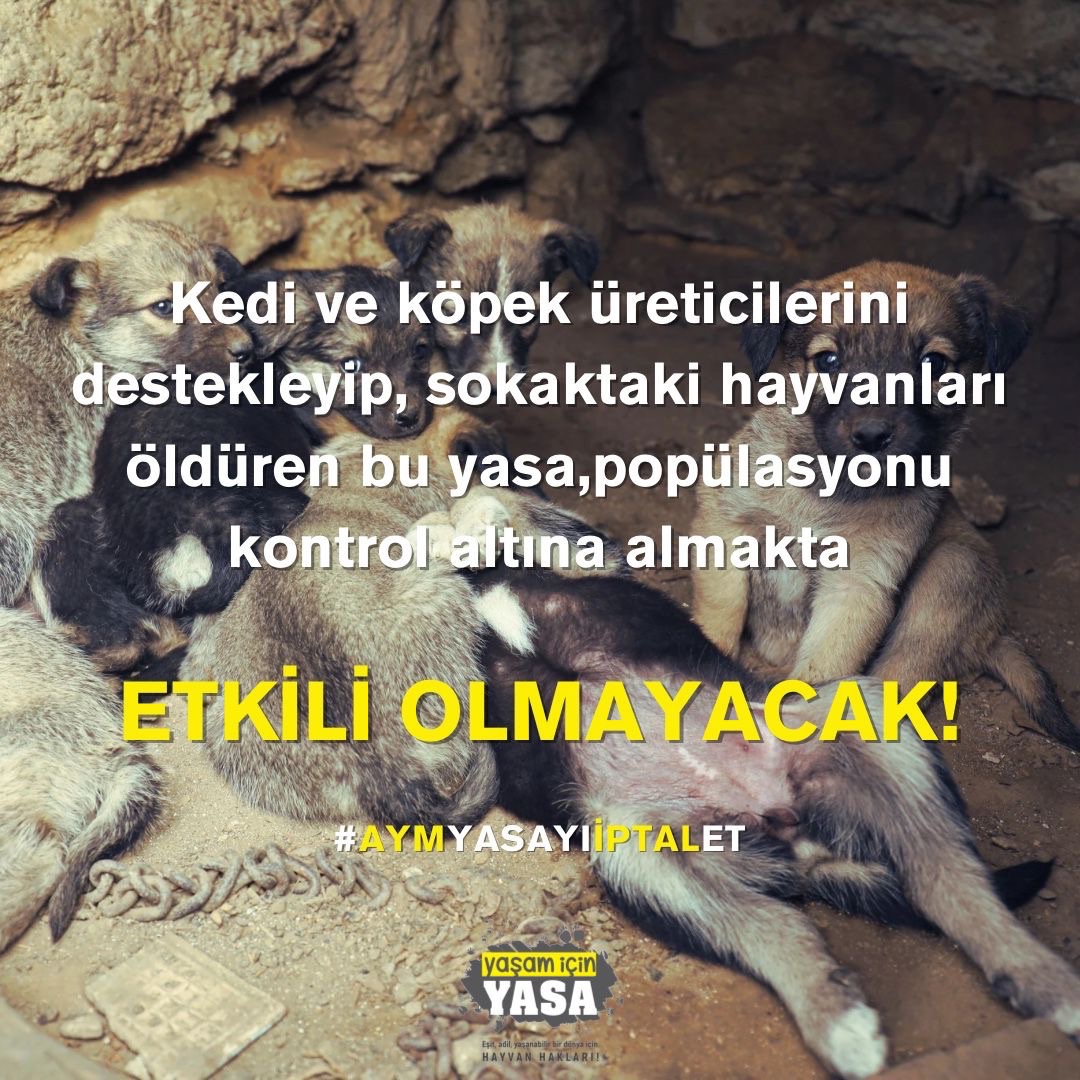 Ölüm döngüsüne Geçit Vermeyin! Üretimi durdurmayıp kısırlaştırma yapmayıp hangi sonucun doğacağını bilmeyenler matematik bilmeyen toplumlardır!
<a href="/AYMBASKANLIGI/">Anayasa Mahkemesi</a> 
#AymYasayıİptalEt 
#Konya