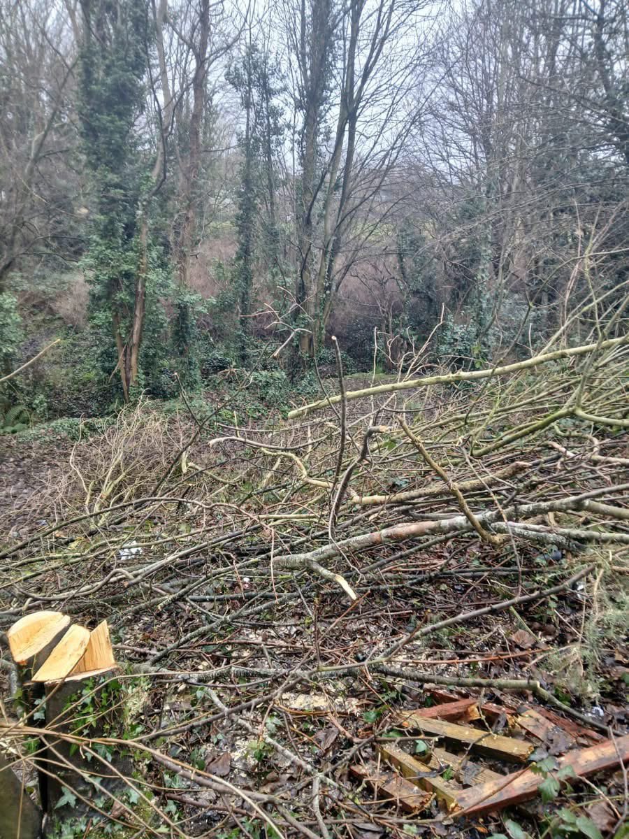 newryarmaghsf's tweet photo. “Untold damage to grass, public pathways and trees  damaged and cut down in Derrybeg.

Our communities deserve better than this. The illegal use of scramblers and quad bikes are a nuisance across the district. People are sick, sore &amp; tired of it”

Cllr @AidyMM https://t.co/zBz0B6eqpX