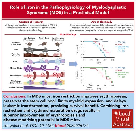 BloodPortfolio's tweet photo. Combining iron restriction and erythroid maturation drugs shows superior improvement of erythropoiesis and disease-modifying potential in MDS. https://t.co/wWvGl8G2WS #myeloidneoplasia #plenarypapers #redcellsironanderythropoiesis https://t.co/B2eZWgjNhH
