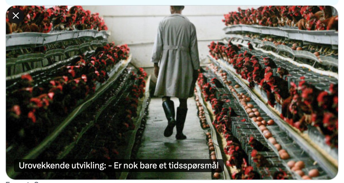 tveitmiljo's tweet photo. Jeg siterer professor Terje Tvedt i april 2021 om forrige pandemihåndtering:

"Får vi noensinne vite hva som skjedde?
Regjeringen foreslo opprinnelig at koronakommisjonens hemmelighold skulle gjelde i 100 år, men etter kritikk ble det 60 år. Nå er det altså kommet for dagen at de mest sentrale dokumentene uansett er borte." (1)

Smak litt på den... 

Selv skrev koronnakommisjonen dette:

"Regjeringen nedsatte i april 2020 en uavhengig kommisjon for å få en grundig og helhetlig gjennomgang og evaluering av myndighetenes håndtering av Covid 19-pandemien." (2)

Koronakommisjonen som skal granske regjeringens håndtering kaller seg "uavhengige", så har regjeringen selv sørget for at kommisjonens mandat holdes hemmelig. Da er den ikke "uavhengig", men "bundet" til den autoritære Solberg-regjeringen. De selv, som skulle granskes, har bundet kommisjonen fast!

De stengte inne barn, gamle og alle andre, med enorme følger for samfunn og enkeltindivider, samtidig som Sverige holdt landet åpent. 

I 2023 skrev Forskning . no at Sverige "...kan ha hatt den aller laveste overdødeligheten i hele Europa under pandemiårene 2020, 2021 og 2022. (3)

Gang på gang får vi høre at vi sparte så mange liv ved å stenge ned samfunnet, samtidig som Sverige kom best ut i Europa ved å IKKE stenge ned?! 

Vi får til og med høre at overdødeligheten som oppstod da vi vaksinerte landet med mRNA-eksperimentet skyldes at vi åpnet opp samfunnet da vi hadde vaksinert. Men det gir ingen mening når vi fra før vet at det lønner seg helsemessig og "dødelighetsmessig" å holde landet åpent. 

Da er det ikke så rart at når NRK spurte etter koronakommisjonens mandat, var hele diskusjonen sladdet. (4)

Det måtte ikke ut hvorfor de drev autoritært og totalitært gjøn med folket. Det de holdt på med var i hvert fall ikke samfunnsmedisin, det er helt sikkert. Her ligger en helt annen agenda som man bare kan spekulere i. 

Det nærmeste jeg kommer er at global helse har blitt business (5), eller at "Formuene til verdens ti rikeste har økt mer under coronapandemien enn de siste 14 årene til sammen..." (6), som et direkte resultat av nedstengningene. 

Klaus Schwab, arbeidende styreformann i Verdens økonomiske forum (WEF) hadde fiks ferdig en bok allerede i juli 2020 ved navn "COVID-19: The Great Reset".  

Boken diskuterer hvordan pandemien kan brukes som en mulighet til å tenke nytt om- og omstrukturere globale økonomiske og samfunnsmessige systemer. 

Han vil over til det WEF kaller stake holder kapitalisme (8), som i praksis betyr at føydalherrene har sugerørene nede i de nasjonale statskassene og beriker seg enda mer, slik de gjør i enhver krise, og som de gjorde under koronakrisen. 

The Great Reset kan altså være et motiv for å intensivere kritisenarrativene. 

Så gjenstår det å se om regjeringen Solberg/Listhaug om noen år skal utnevne "fugleinfluensakommisjonen" som skal granske seg selv enda en gang, og som de har gitt munnkurv på kritiske punkt i 60 år, slik at vi ikke får vite hva spetakkel de har stelt i gang. 

TV2 har i dag intervuet det vanlige knippe med statsautoriserte "konsensus"-eksperter som gradvis skal bygge opp det nye pandemi-narrativet med fugleinfluensa. (9)

Med fugleinfluensa får man slaktet både verpehøns og kylling, samt storfe for å nevne noe. Verden vil mangle egg, melk, og kjøtt. 

Kontrollerer du maten, kontrollerer du folket. Bill Gates vil stå klar med patenterte proteinsubstitutt som han garantert vil få offentlige tilskudd til siden han er "filantrop". 

Det lukter Great Reset og stake holder kapitalisme av sånt. 

Neste pandemi og alle krigene, er uhyre viktige for den kriminelle mafiaen som beriker seg på kriser. Det er synd de også kontrollerer konsernmediene. 

--------------

Du kan støtte mitt arbeid ved å vipse til: 911 75 352.

(1)https://t.co/u6lBnjv3d2
(2) https://t.co/lAuVAyL1mB
(3 )https://t.co/OOlIze7ykX
(4) https://t.co/dd6FG60bR9
(5) https://t.co/HhO5Rj0Ioe
(6) https://t.co/qA1rgfcjBf
(7)https://t.co/zOZ85IqC9S
(8) https://t.co/VBYVVmRFVp
(9) https://t.co/cOh9J0Ob2I