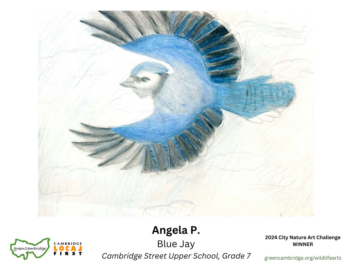 cpsd_pd's tweet photo. Green Cambridge and Cambridge Local First have announced the winners of the 5th Annual Cambridge City Nature Art Challenge! This is the 5th year that the contest has provided a way for elementary and upper school students in Cambridge to...
1/2 https://t.co/iy19O6hVl6