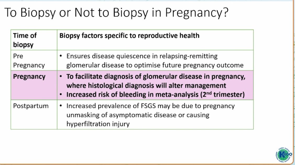 IzabelaZakrocka's tweet photo. Excellent @kidneydoc101 talk about difficult questions and magical moments in the management of pregnant #LN patients @goKDIGO #GEMs 💎 https://t.co/HViOH83R6j