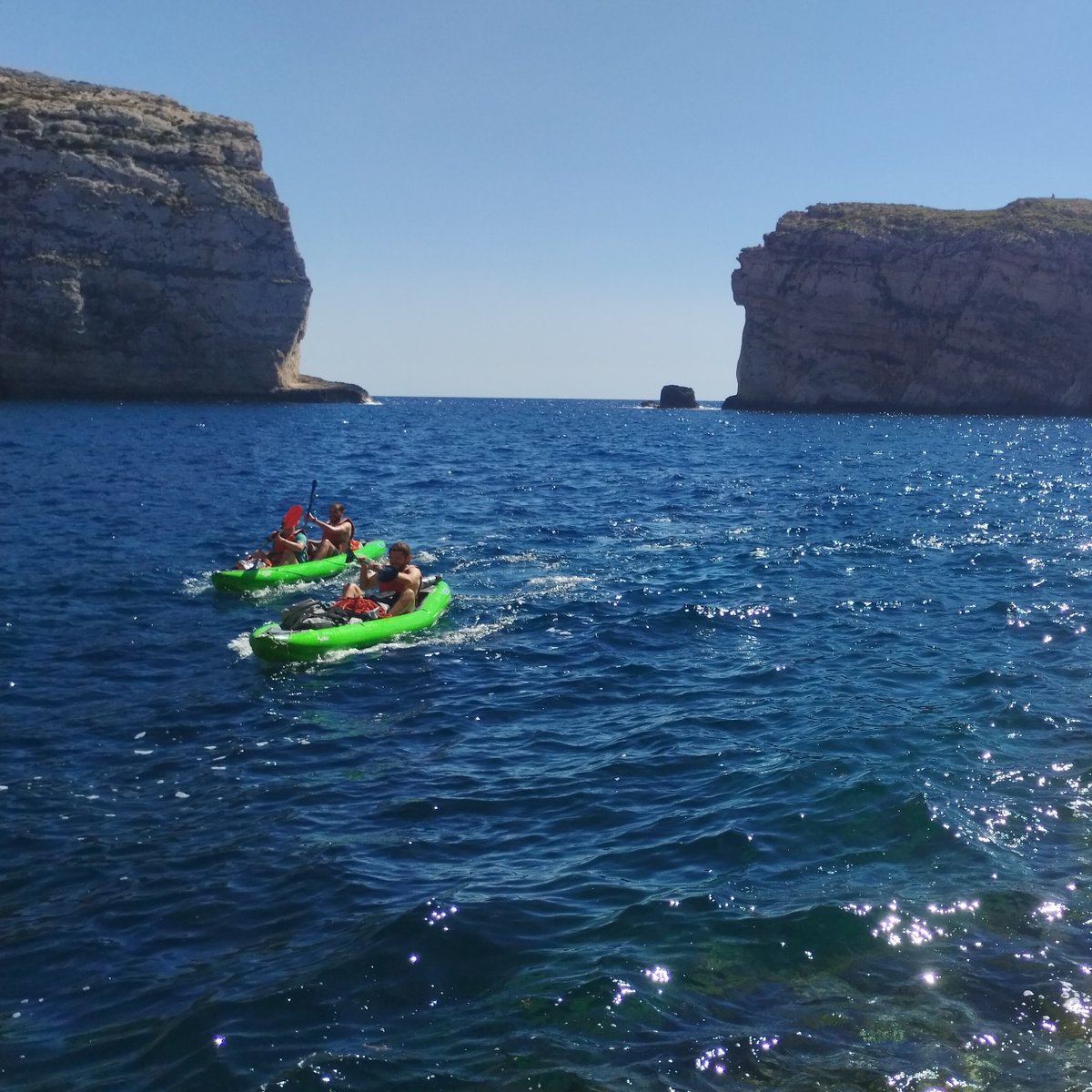 🌊 Did you know? 🧗‍♀️🚤 

Reaching the seabird colonies we monitor around Malta is no easy task! Whether their nests are perched at the top, hidden in the middle, or tucked away at the base of a cliff, we use a variety of techniques to get there. 

From abseiling down towering