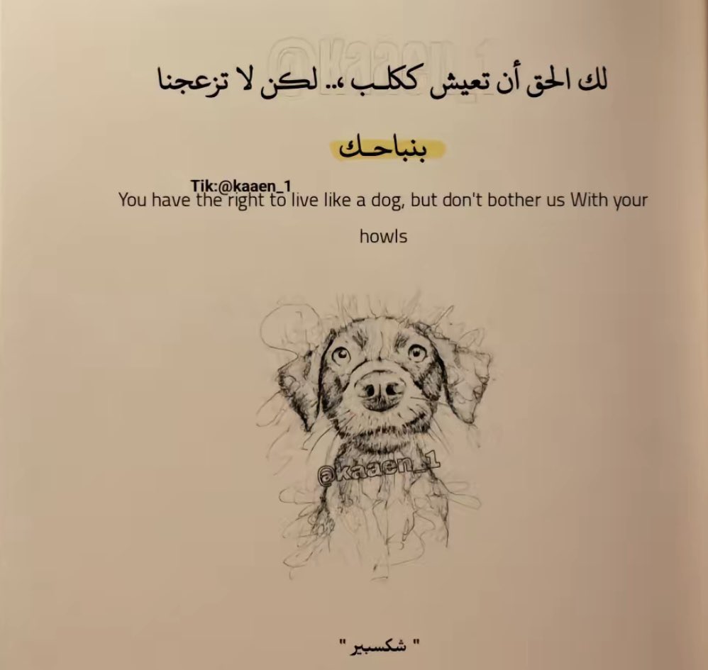 عبدالعزيز بن سليمان (@awssrs69) on Twitter photo 