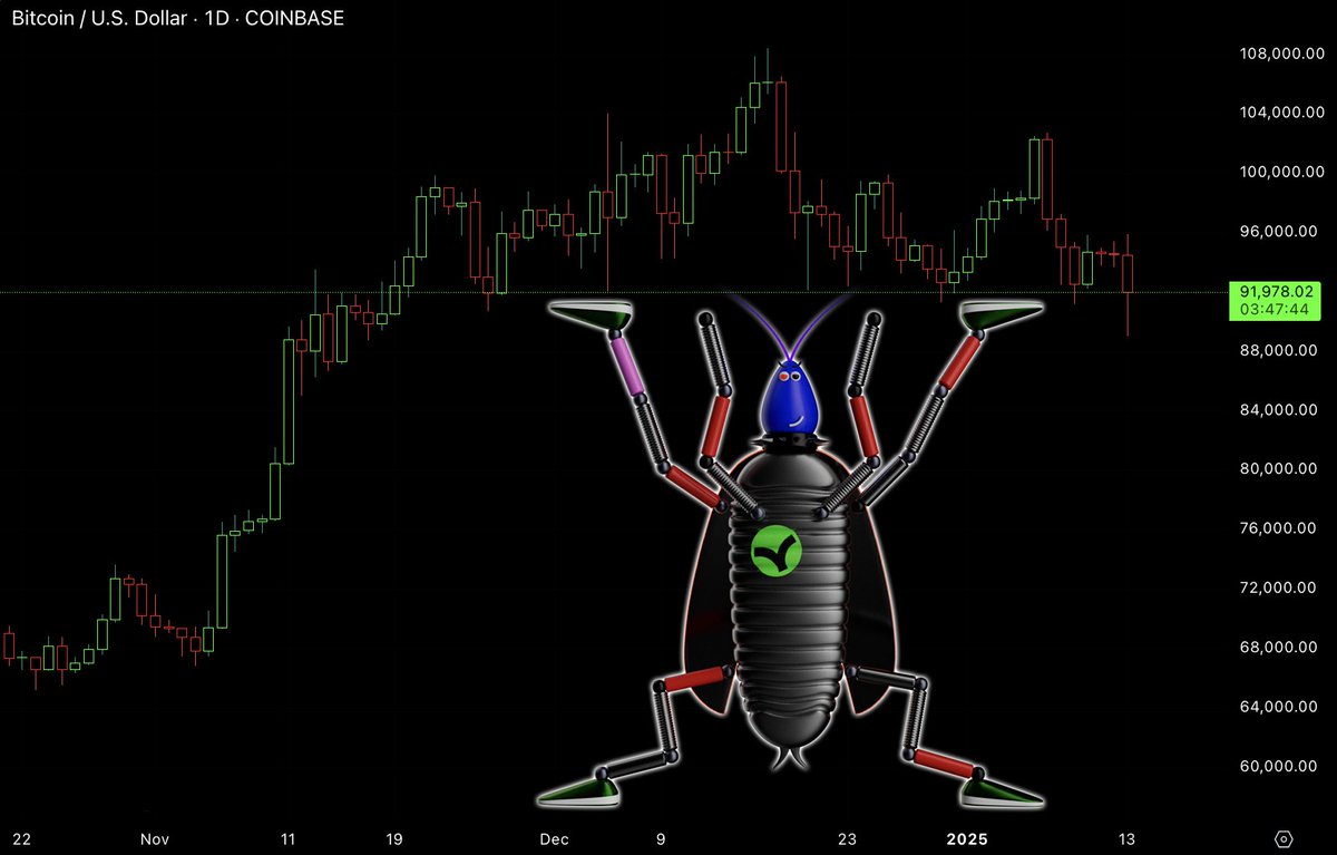 Roach Racing Club tweet media