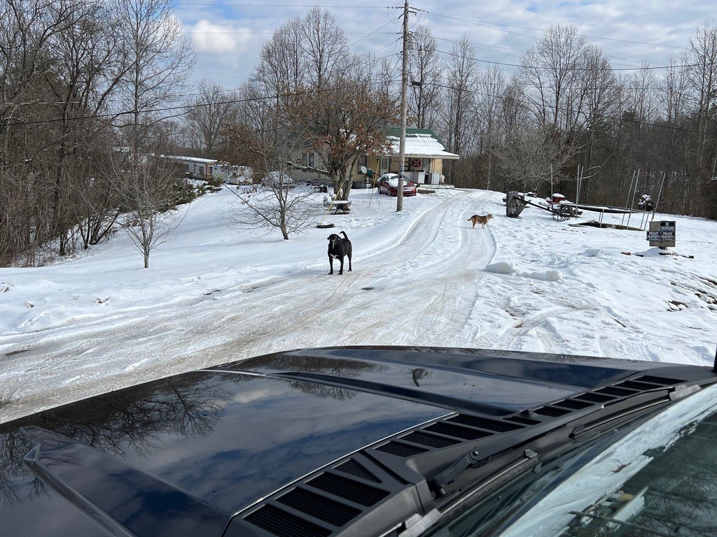 lee_district's tweet photo. There will be NO school in Lee County on Tuesday, January 14th.  This will be NTI Day #4.  While many roads were in decent shape, there are still many issues for bus travel including bus turnarounds, icy spots and shoulder concerns when meeting opposing traffic.

Thank you! https://t.co/DfPzTt4JzX