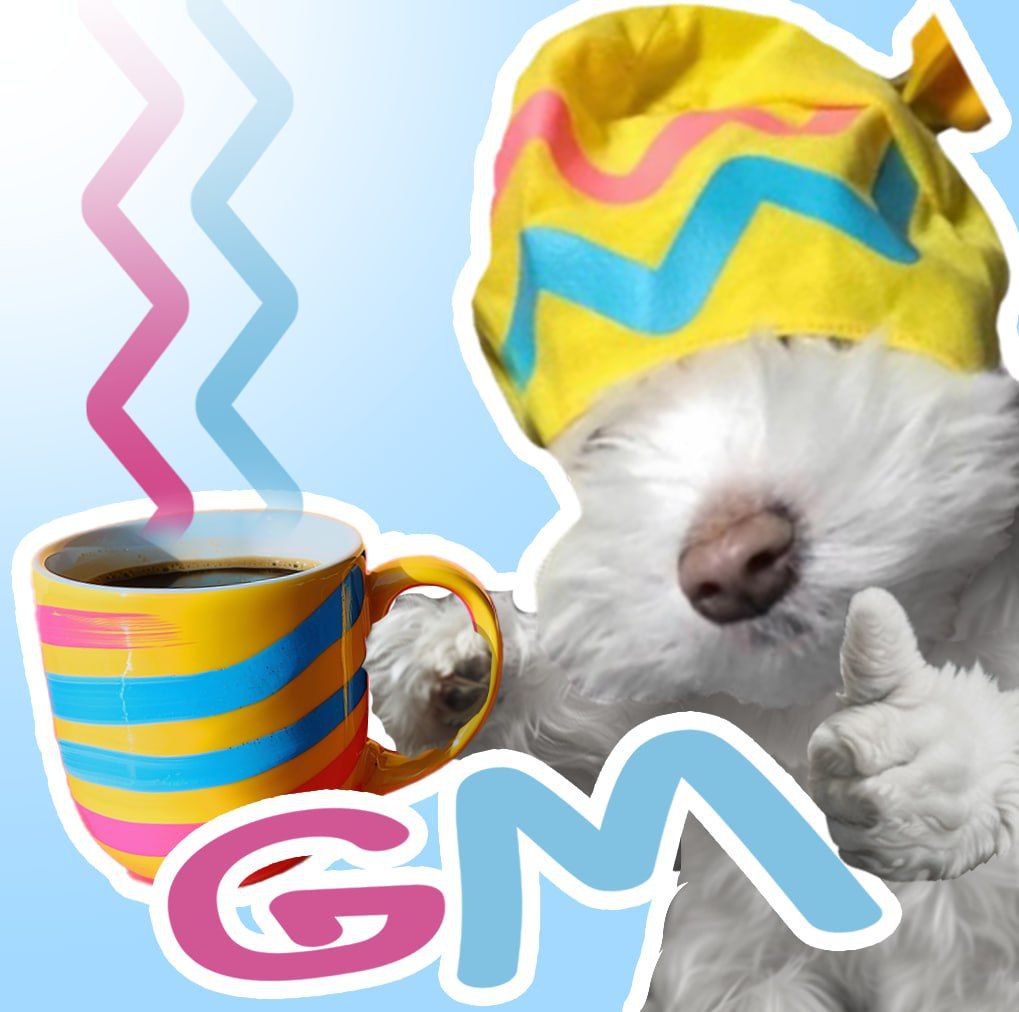 Dogwifdrip tweet media