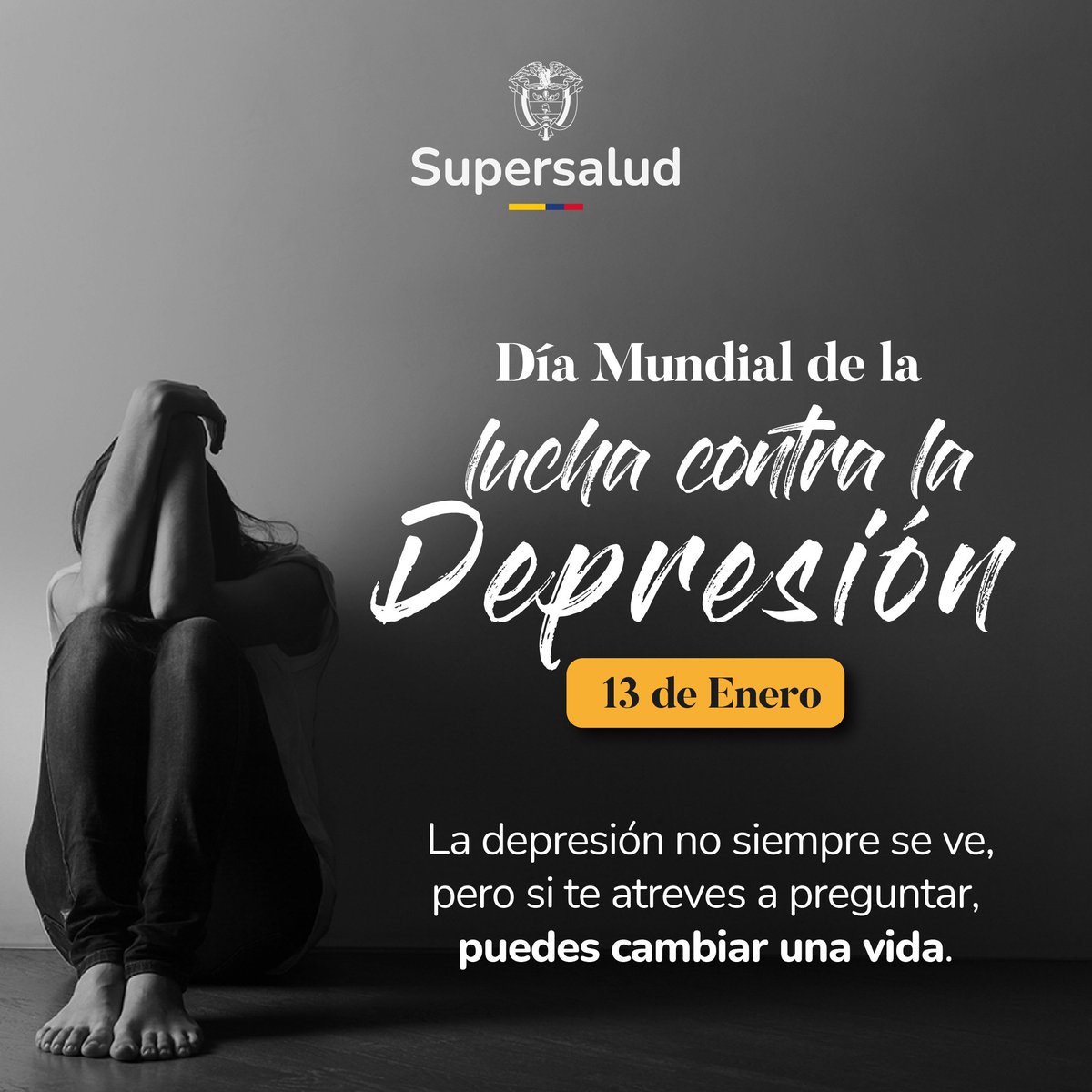 Hoy es el Día Mundial de la Lucha contra la Depresión, una enfermedad que afecta, según la OMS, a 300 millones de personas y sobre la que todavía nos queda mucho por aprender. 

La depresión no discrimina, puede afectar a cualquier persona en cualquier momento. 🧠

Reconoce los