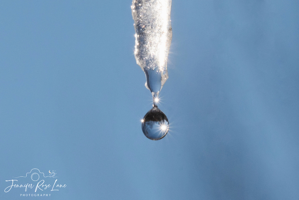 Jennifer Rose Lane (@jens_starry_sky) on Twitter photo Some macro shots of some melting icicles with some sunlight refraction 😍💙 #macro #closeup #ice #winter #weather #WV <a href="/MacroHour/">#MacroHour 🌿</a> <a href="/ThePhotoHour/">#ThePhotoHour</a> <a href="/WSAZBrandon/">Brandon Butcher</a> <a href="/SpencerWeather/">Spencer Adkins</a> <a href="/JoshFitzWx/">Josh Fitzpatrick ☀️</a> Some macro shots of some melting icicles with some sunlight refraction 😍💙 #macro #closeup #ice #winter #weather #WV <a href="/MacroHour/">#MacroHour 🌿</a> <a href="/ThePhotoHour/">#ThePhotoHour</a> <a href="/WSAZBrandon/">Brandon Butcher</a> <a href="/SpencerWeather/">Spencer Adkins</a> <a href="/JoshFitzWx/">Josh Fitzpatrick ☀️</a>