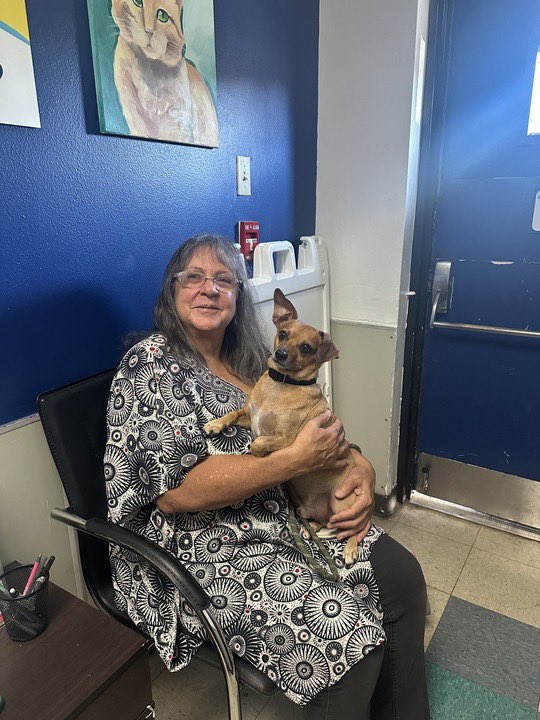 dog_rates's tweet photo. This is Roscoe. He suffered a broken elbow and desperately needed surgery to fix it. Thanks to an incredibly generous $5,000 donation to @15outof10 from the amazing folks at Dutch, his surgery and care is completely paid for! He's fully healed and has even been adopted ❤️‍🩹 #ad https://t.co/NrK63wMZlr
