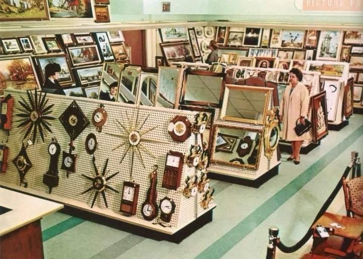 The Museum of Curiosities tweet media