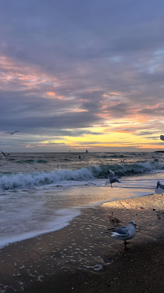 𝐈 𝐛𝐞𝐥𝐢𝐞𝐯𝐞 𝐈 𝐜@𝐧 𝐟𝐥𝐲 tweet media