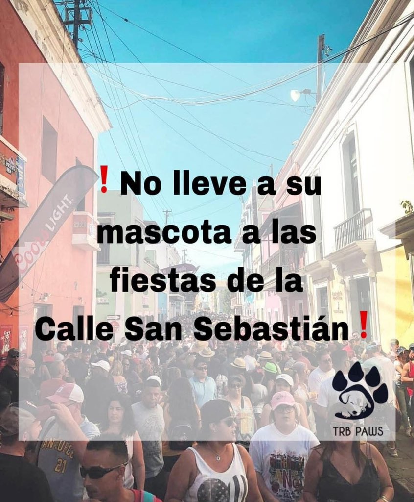 AWA_013's tweet image. Please 🙏🏽🐶🤍