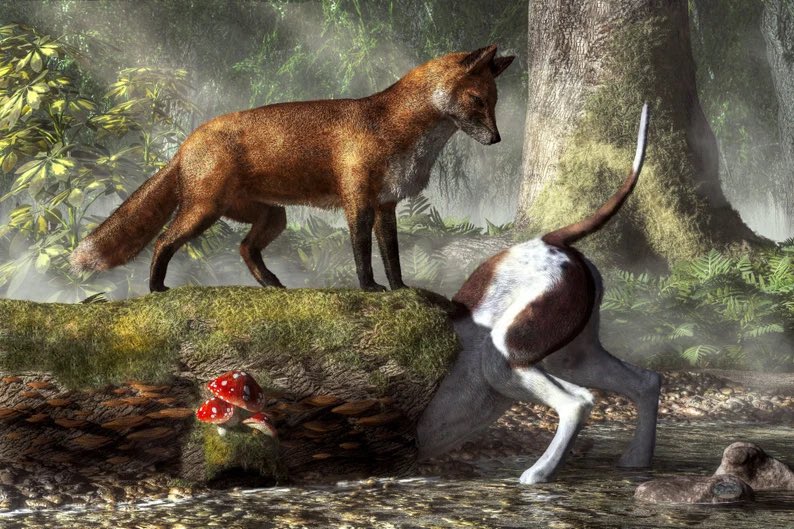 Trial Balanced tweet media