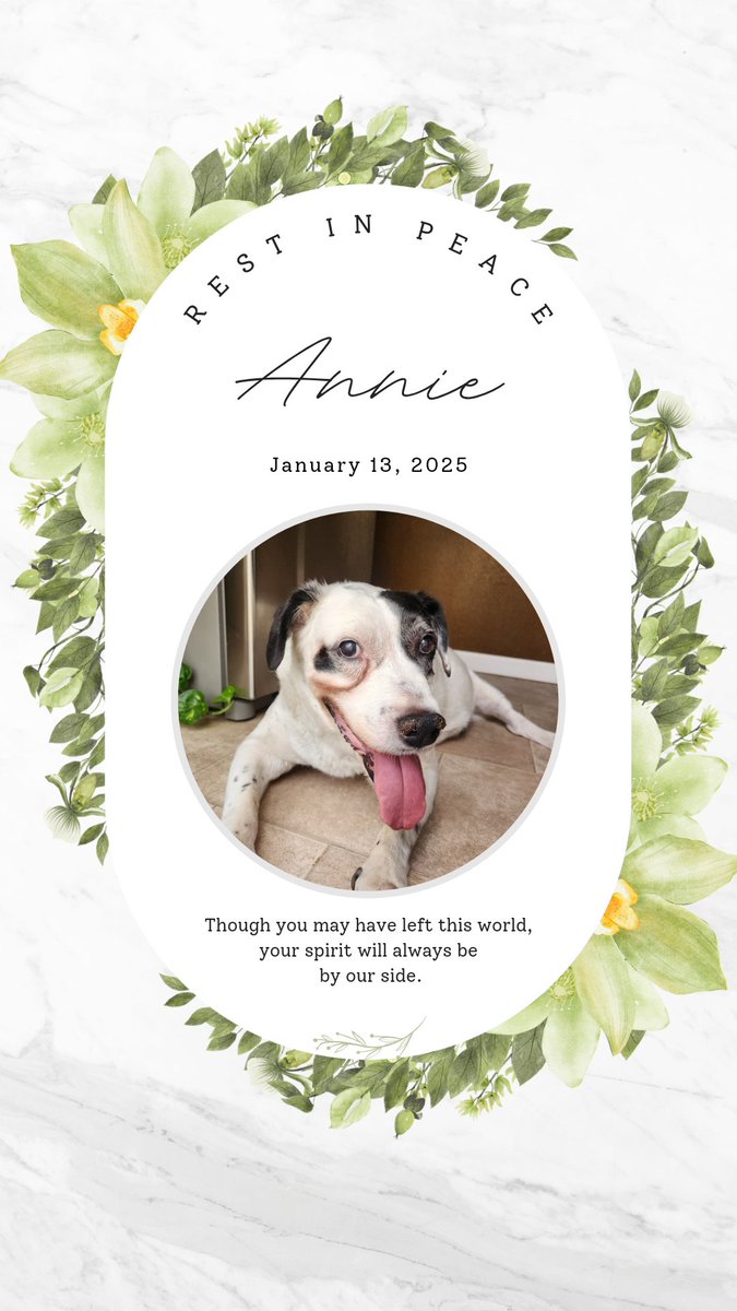 Sara Schwendinger tweet media